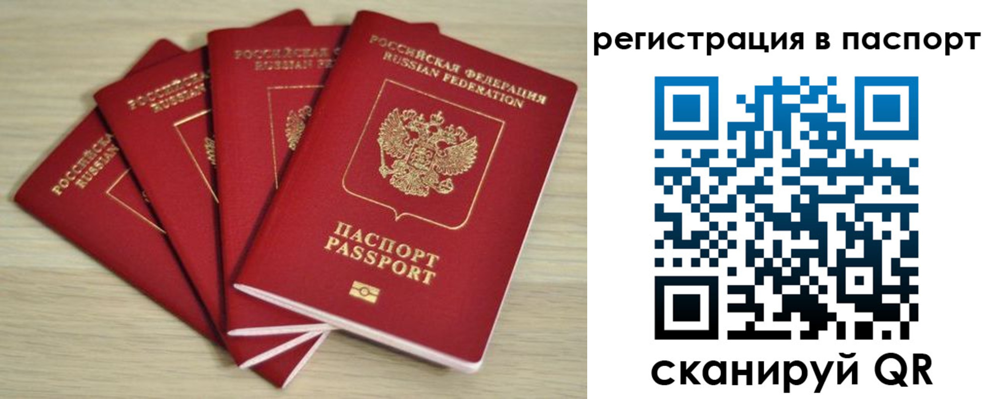 временная регистрация для школы в Сертолово