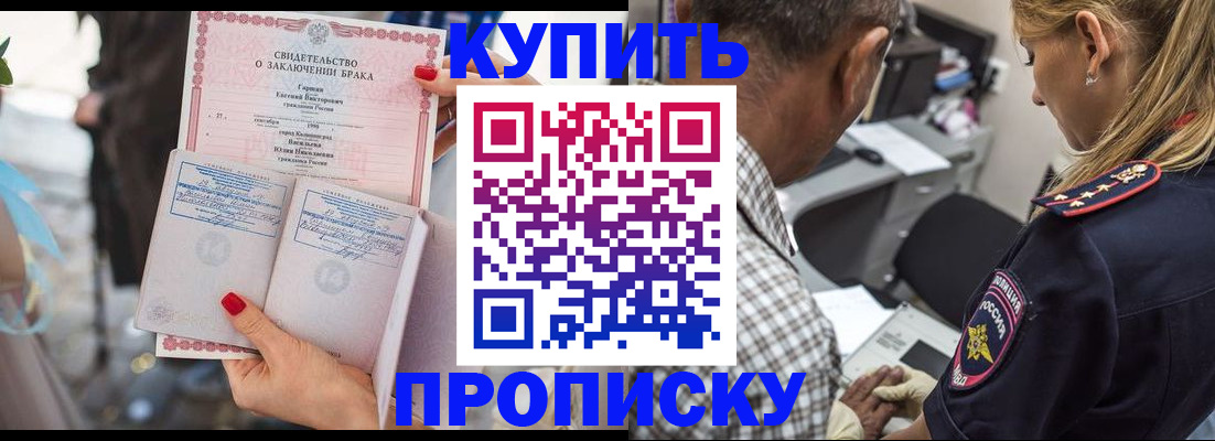 прописка законно в Сертолово